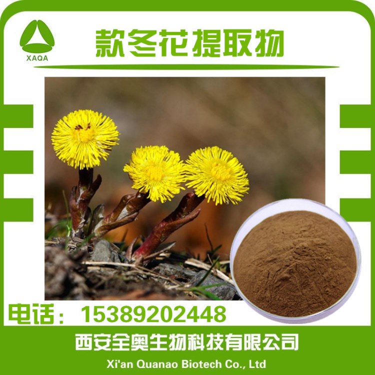 款冬花提取物20:1比例 蜂斗菜提取物 款冬花濃縮粉 現(xiàn)貨包郵