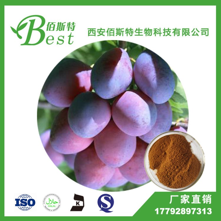 【現貨包郵】 烏梅提取物10:1 烏梅提取物 廠家自銷 量大從優