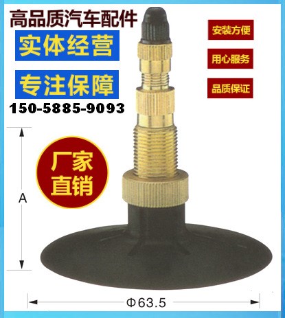 廠家直銷汽車補(bǔ)胎工具 輪胎壓緊式無內(nèi)胎金屬汽門嘴TR220A