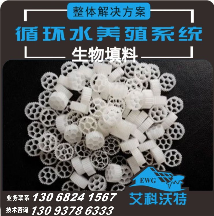 【生物填料】循環水養殖系統MBBR/養魚設備/多孔懸浮填料