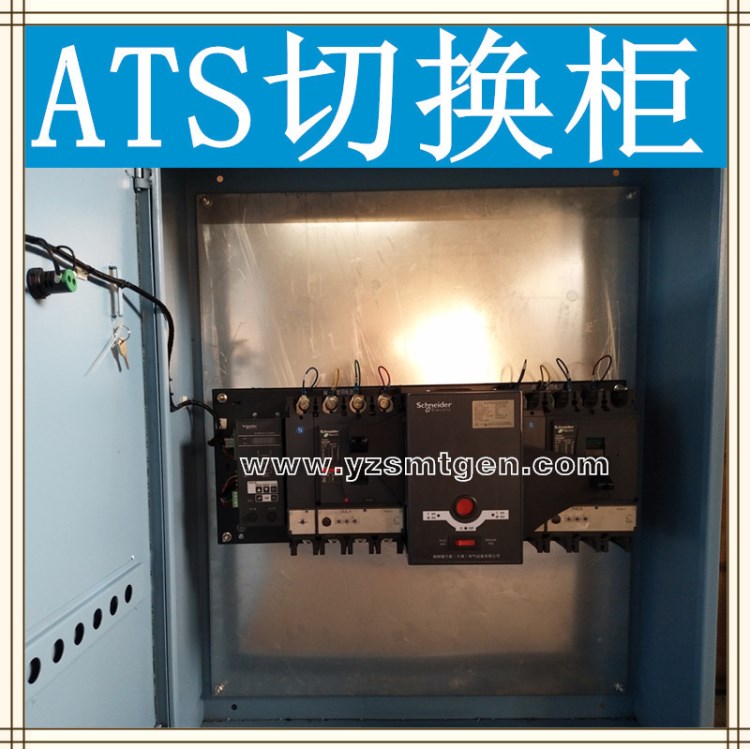 發(fā)電機(jī)組控制柜施耐德雙電源切換開關(guān)ATS雙電源自動(dòng)化并機(jī)柜