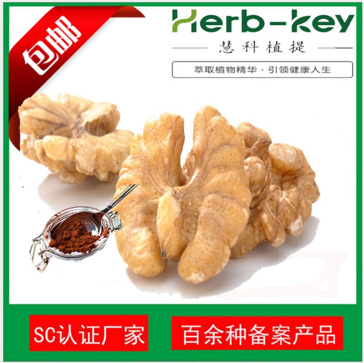 核桃仁提取物10:1  慧科源頭工廠 現貨供應 優惠包郵  核桃仁粉