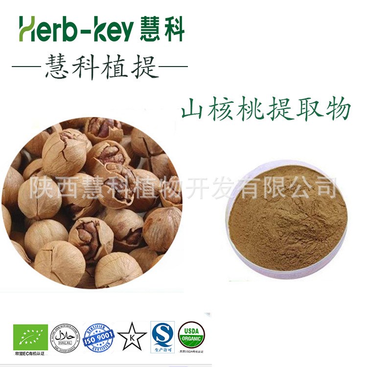 山核桃仁提取物10:1  陜西慧科 源頭工廠 現貨包郵  核桃粉
