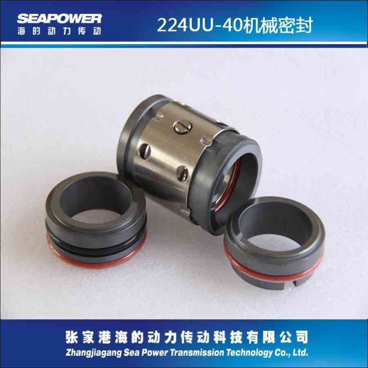 224-40博格曼技術泵合金304機械密密封