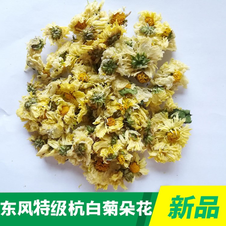 杭白菊朵花工廠直銷菊花茶茶葉批發(fā)桐鄉(xiāng)胎菊花茶花果茶散裝批發(fā)