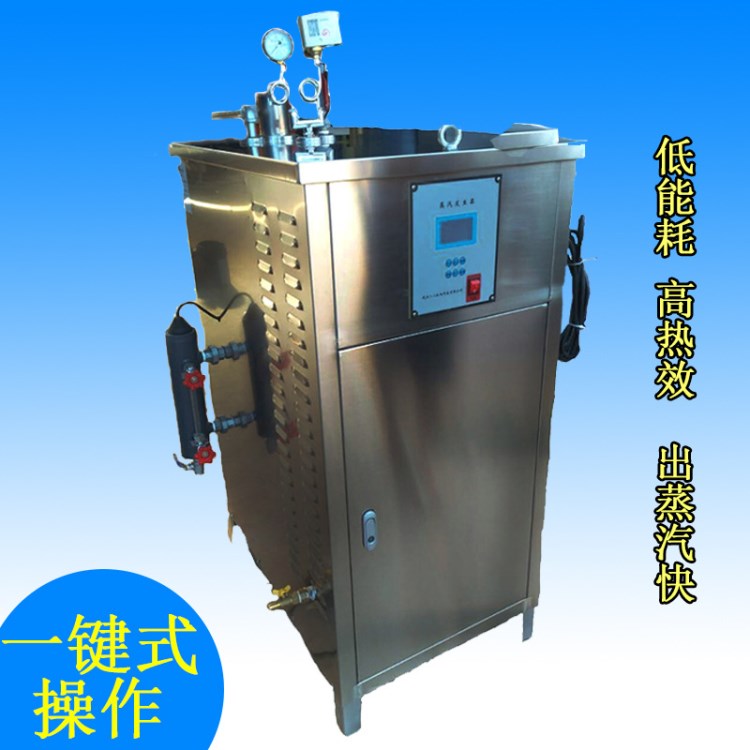 小型燃氣蒸汽機 服裝洗滌 全自動鍋爐 小型燃氣蒸汽發生器