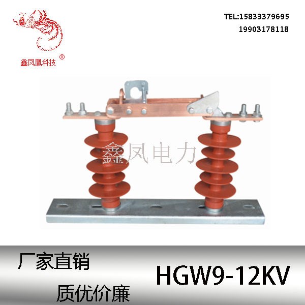廠家直銷HGW9-10KV硅膠隔離開關刀開關400A630A800A1000A