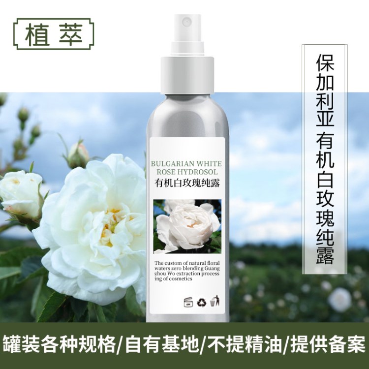 白玫瑰露花水 批發(fā)OEM罐裝 提供三證備案 7年老店 無勾兌