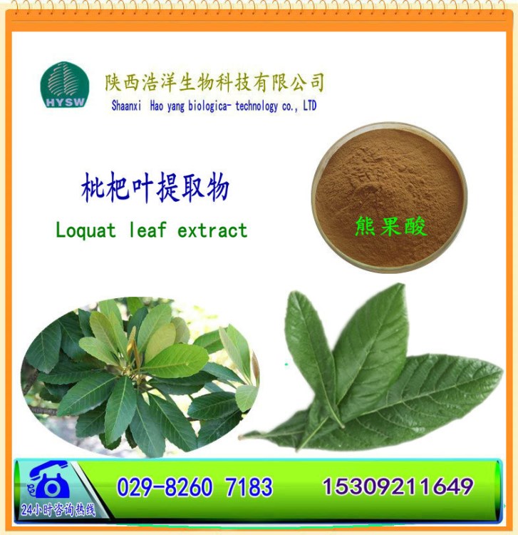 枇杷葉 植物提取物 熊果酸 枇杷葉提取物 現(xiàn)貨供應(yīng) 陜西浩洋