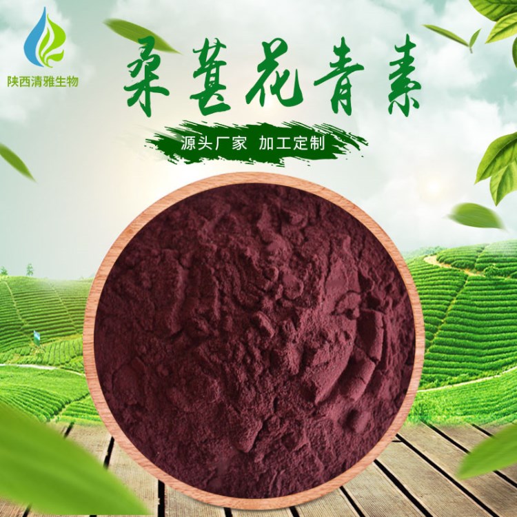 桑葚花青素 25% 桑葚提取物 現貨直銷 桑葚/桑椹花青素粉 1KG起批