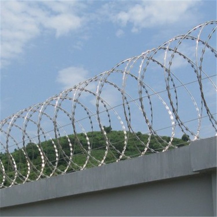 【大酬賓】刀刺滾籠廠家|鍍鋅噴塑刺絲滾籠低價(jià)回饋新老客戶
