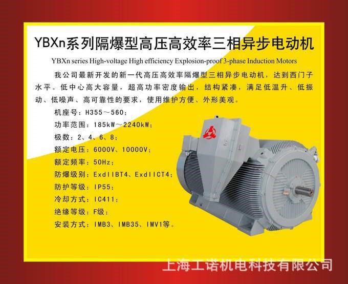 南陽(yáng)防爆YBXn系列隔爆型高壓異步電機(jī)