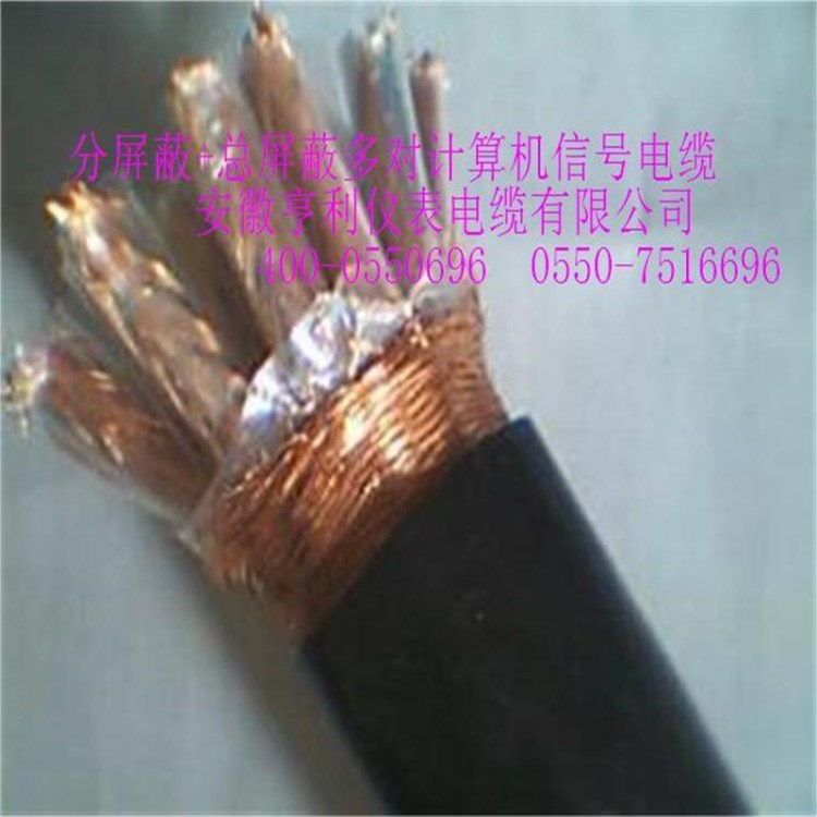 ZR-IJYJPVRP22,ZRC-JYJPVRP32亨儀牌計(jì)算機(jī)電纜IA-DJYP2YRP2-22