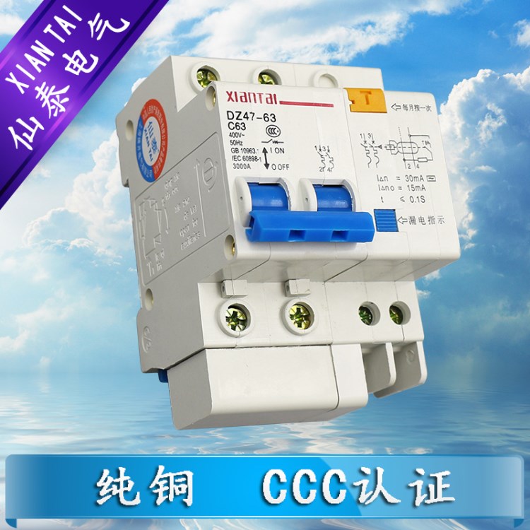 2P63漏電斷路器 供應(yīng)漏電開關(guān) C63漏電保護(hù)器二相電
