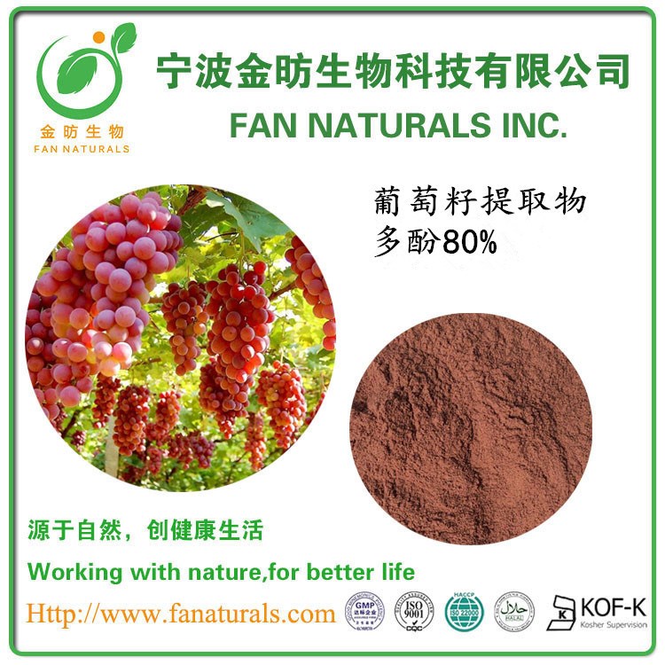 葡萄籽提取物，多酚80% 原花青素95%（Grape Seed Extract）