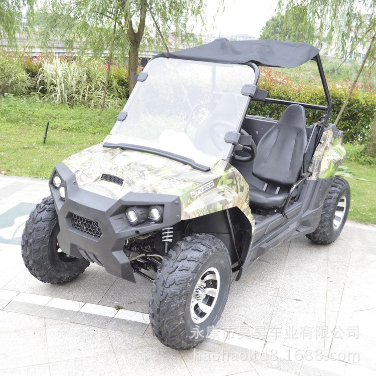 250CC  UTV     沙灘車   atv   全地形車    越野車