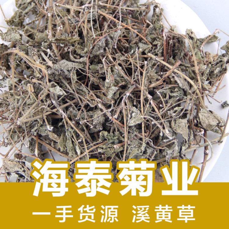 溪黄草 扯根菜 水泽兰 水杨柳 花草茶散装 农产品批发