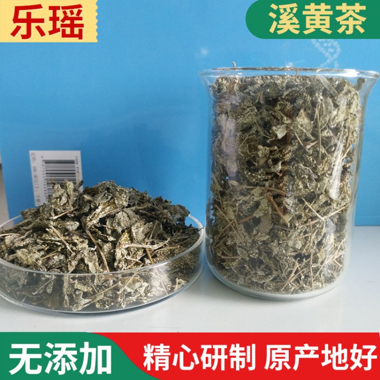 廠家直銷新茶上市溪黃茶、藤茶 野生溪黃草 涼茶花草茶溪黃草批發(fā)