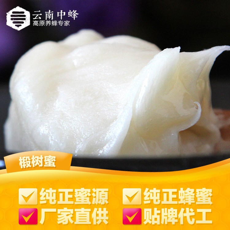 原生態(tài)真蜂蜜500g 云南中蜂農(nóng)家天然椴樹蜂蜜 雪蜜批發(fā)