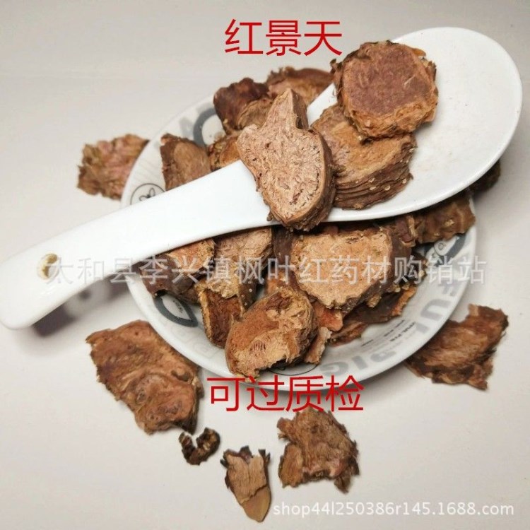批發中藥材按方配 紅景天 西藏紅景天 紅景天粉 量大從優 代磨粉