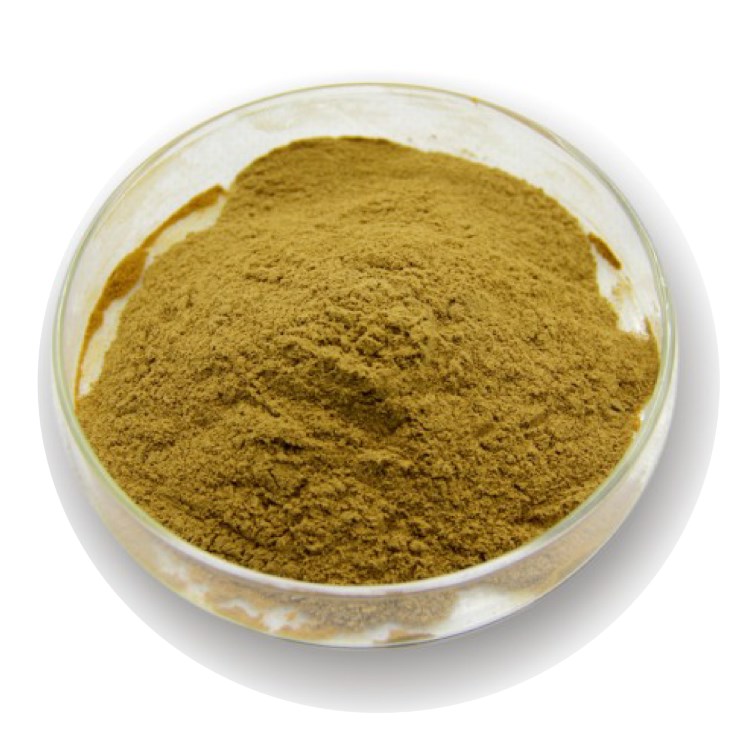 佛手提取物 森弗工廠 佛手粉 QS資質  佛手柑粉 佛手提取物含運費