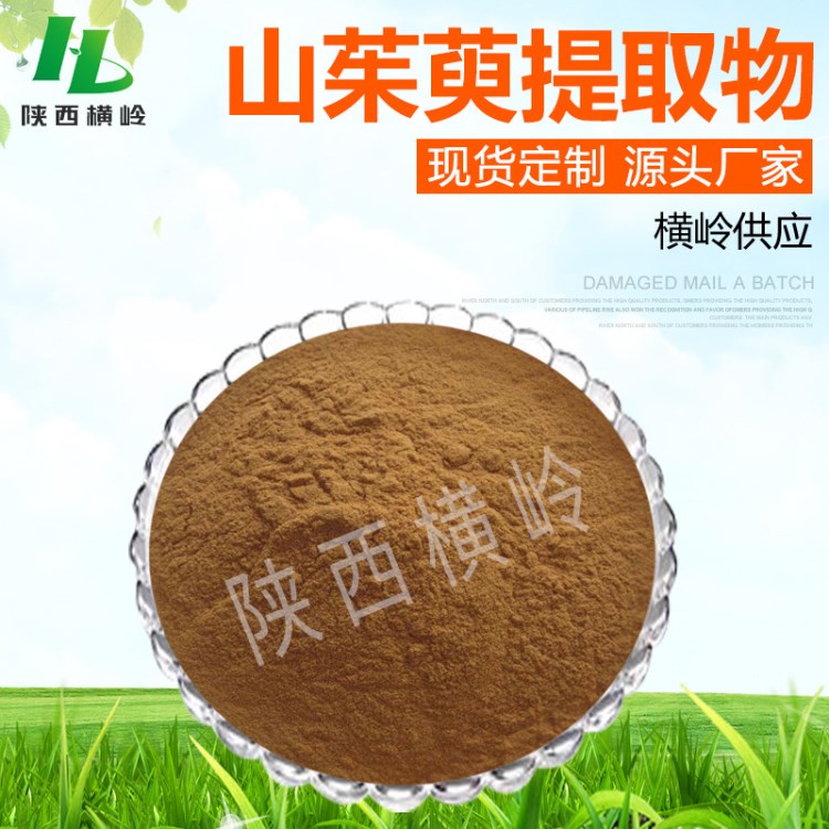 山茱萸提取物 7%含量馬錢苷 植物萃取山茱萸粉 100g/袋 廠家現貨