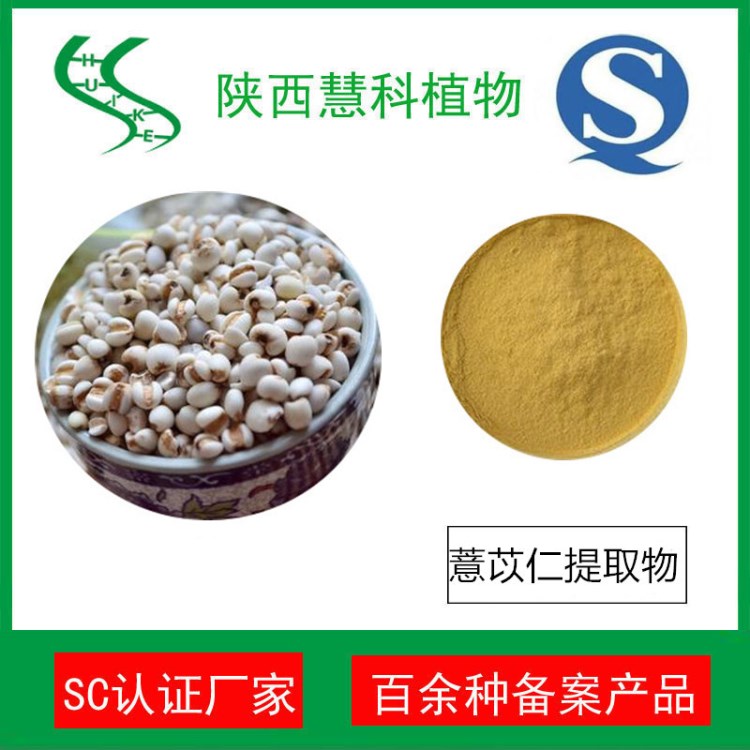 薏米提取物10:1 薏米粉 SC廠家 薏苡仁提取物 陜西慧科植物