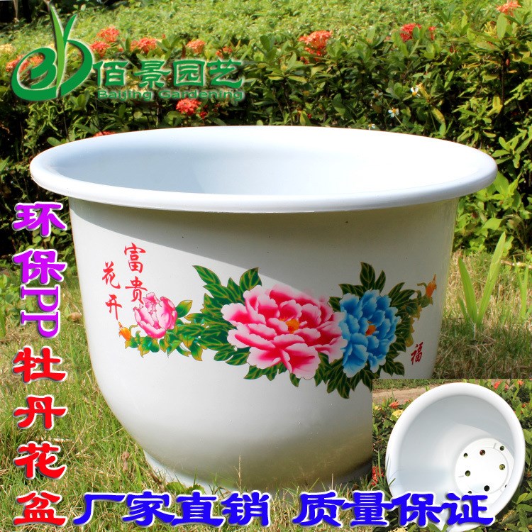白色加厚牡丹花盆 生產(chǎn)廠家批發(fā)圓形塑料花盆 基地種植PP盆