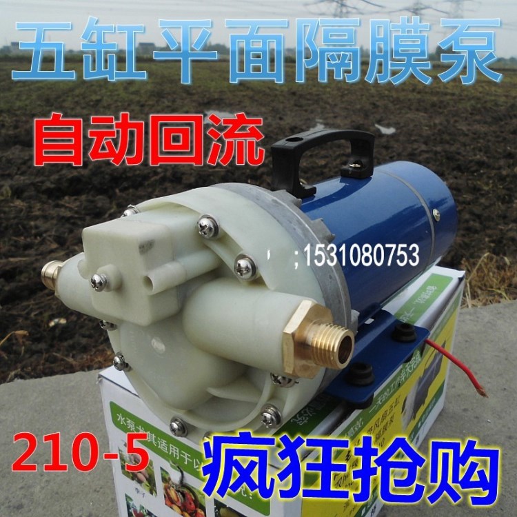 12V24V48V60V小型車載洗車機/高壓直流清洗機水泵清洗空調(diào)泵