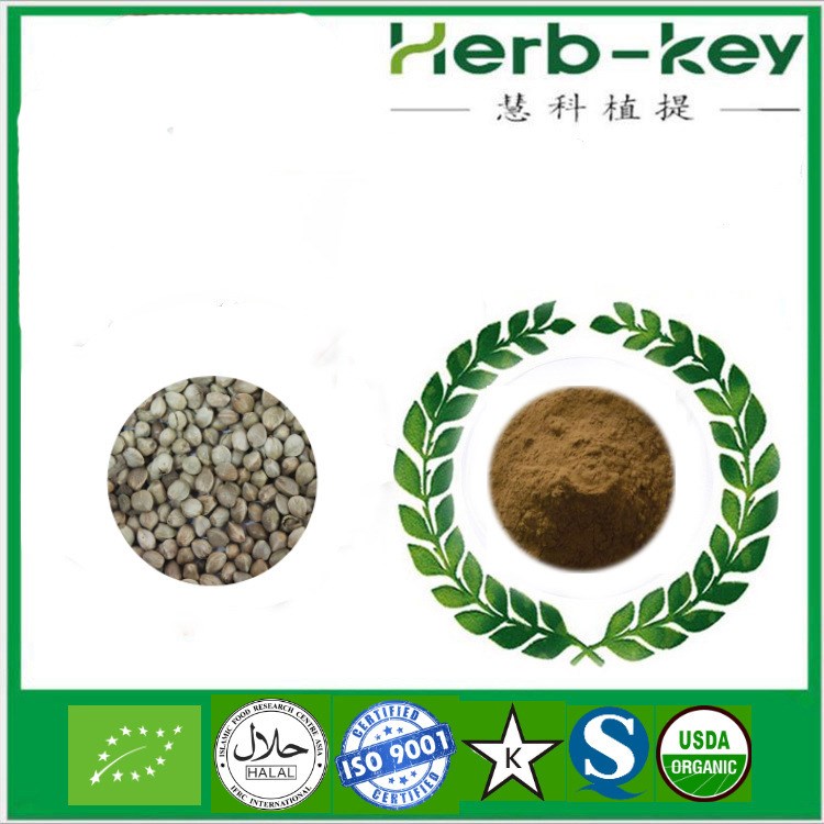 火麻仁提取物 10:1 慧科生產 實力廠家 現貨直銷包郵 火麻仁粉