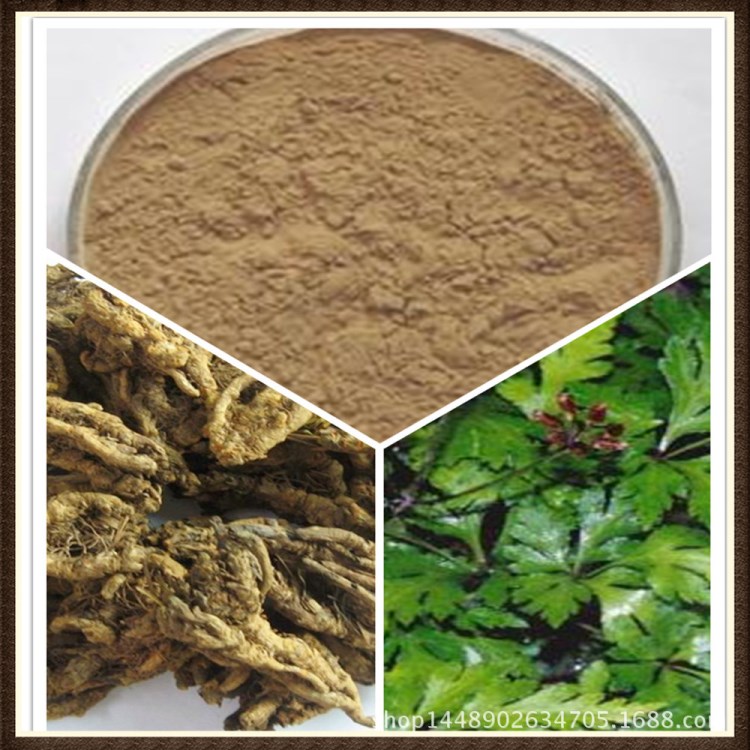 黃連提取物/黃蓮提取物/雞爪連提取物/植物提取物