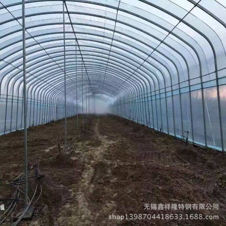 湖北连体大棚 湖南蔬菜单拱棚造价 连栋大棚建设上门安装厂家直销