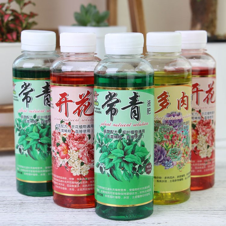 花多多常青液廠家肥料觀葉植物通用型 液體肥料 營養(yǎng)液 通用 現(xiàn)貨