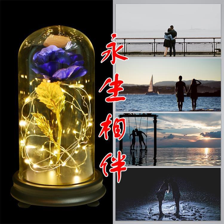 人節創意玻璃罩玫瑰花創意禮批發 圣誕節禮物發光發亮led金箔花