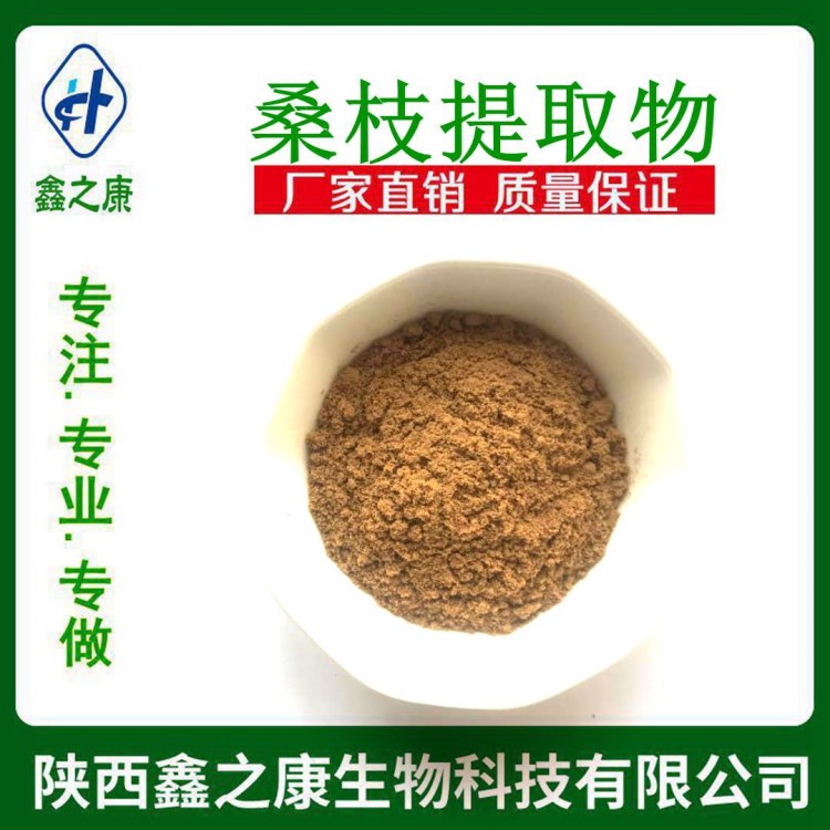 桑枝提取物 20:1  天然桑枝粉 桑葉黃酮  廠家現貨包郵 1kg起訂
