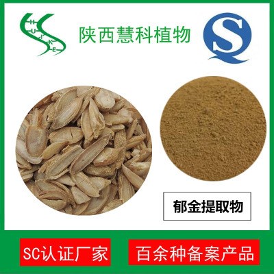 郁金粉 SC廠家 陜西慧科植物  郁金提取物10:1