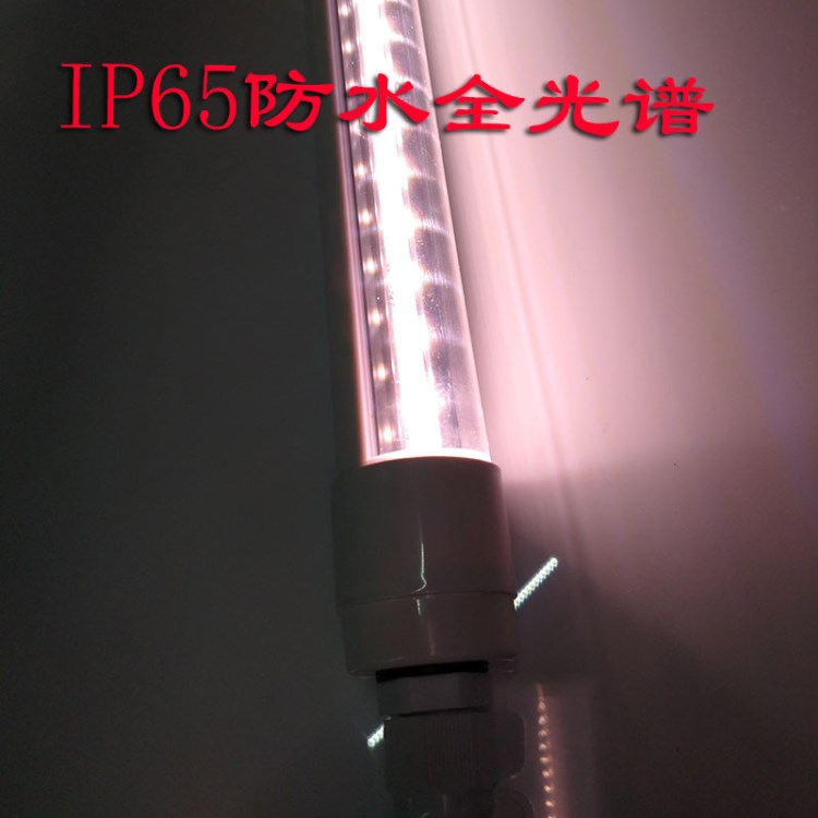 綠熒光電LY 供應T5T8一體化全塑管防水植物燈5W全光譜 多肉種植