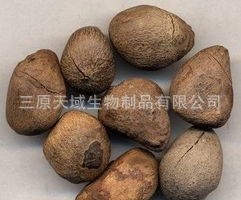 大量供應(yīng)大風(fēng)子提取物(圖)