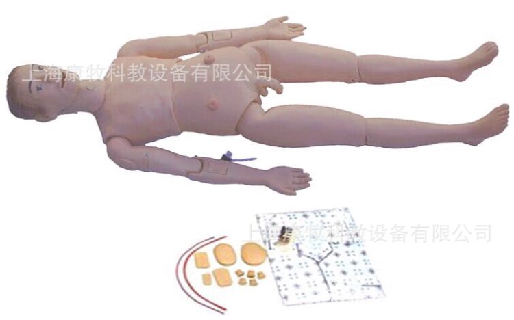 新型組合式護理實習模型（男性）