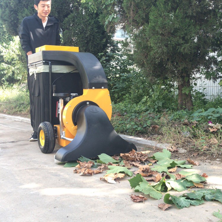 2017新款手推式落葉收集器 樹葉清掃機(jī) 道路掃地機(jī) 環(huán)衛(wèi)吸葉機(jī)