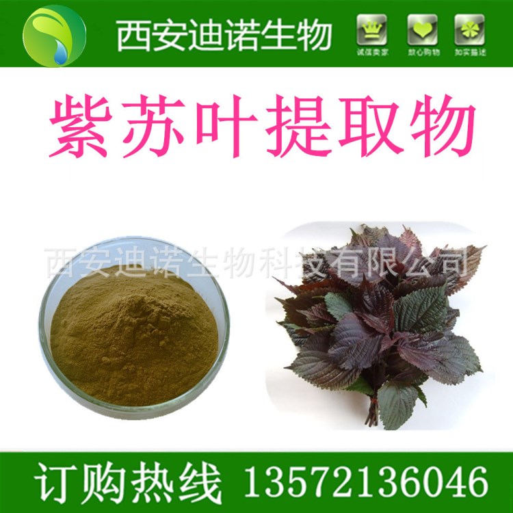 紫蘇葉提取物10:1紫蘇子提取物/紫菜提取物 植物提取物原料批發