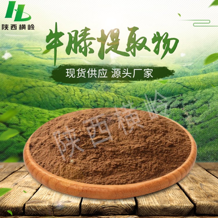 川牛膝提取物  60%含量川牛膝多糖提取物   牛膝多糖粉 橫嶺現貨