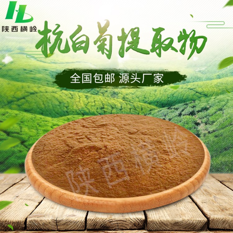 小白菊提取物  0.8%含量杭白菊內脂   杭白菊內脂原料粉   現(xiàn)貨