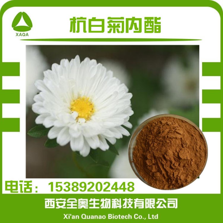 小白菊內(nèi)酯 0.3%含量 現(xiàn)貨包郵 白菊提取物 杭白菊提取物