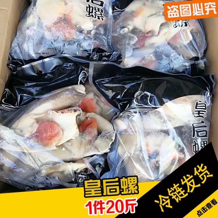 皇后螺 大海螺肉 皇后螺肉冷凍海鮮水產(chǎn) 螺肉燒烤食材 1件20斤