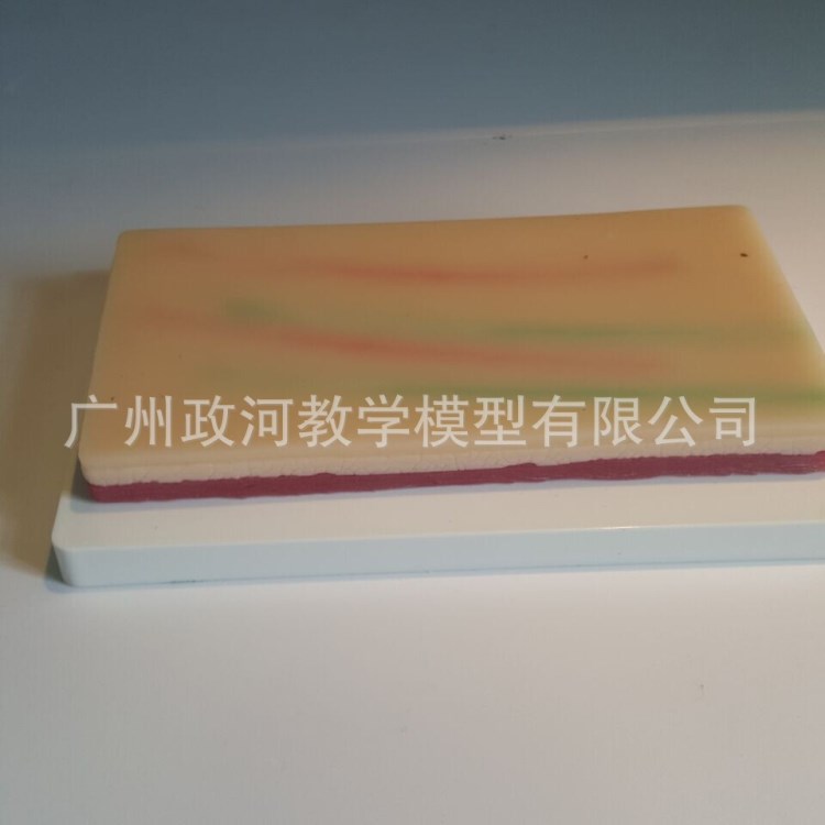 多功能皮膚縫合訓(xùn)練模型 穿刺訓(xùn)練 肌肉注射練習(xí)模塊 皮膚模型