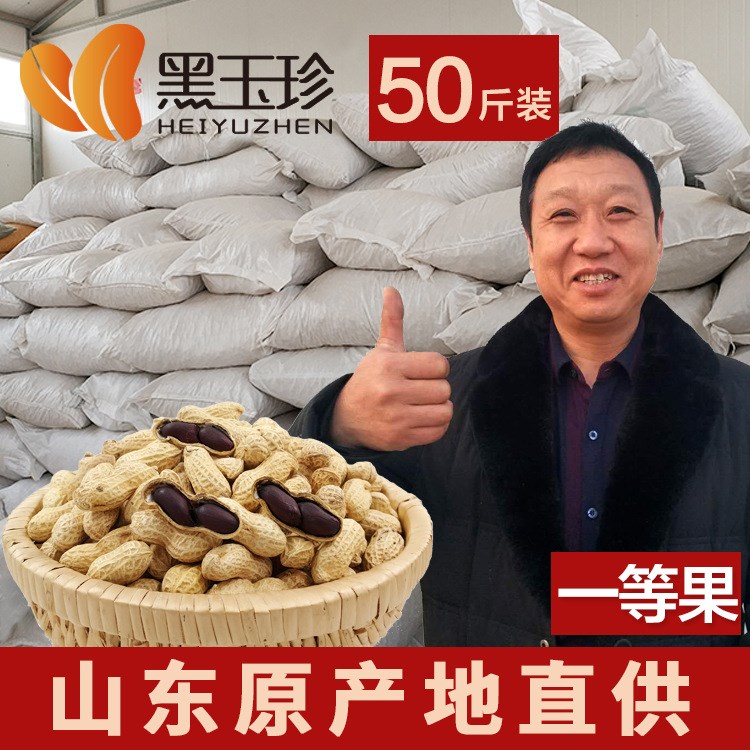 【黑玉珍】黑花生果批发带壳生50斤 一级 新货 水洗精选双仁饱满