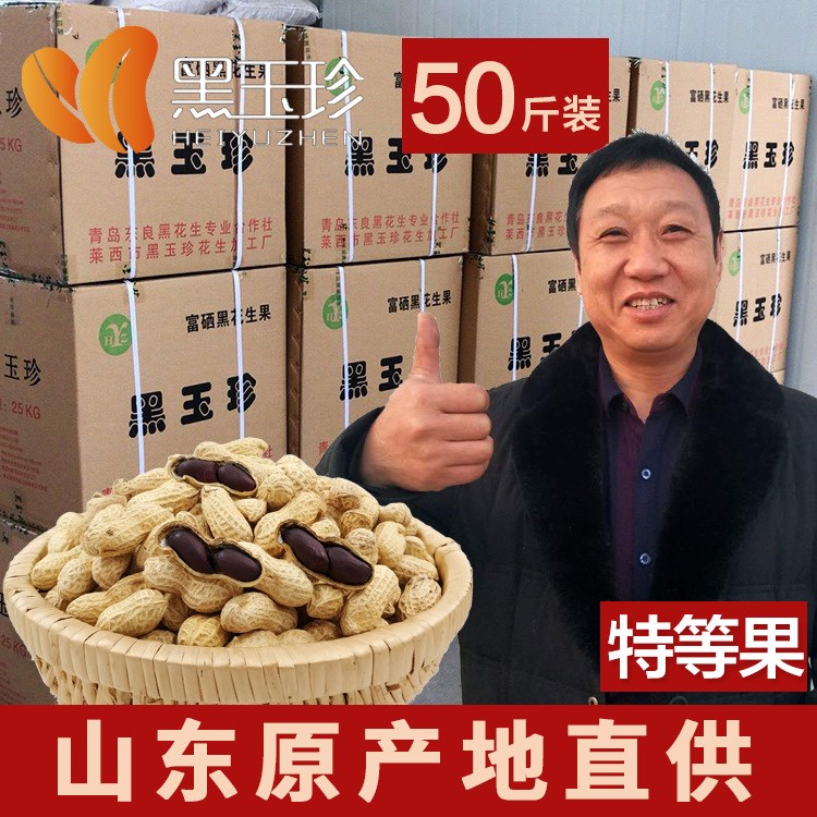 【黑玉珍】特等果  新货水洗精选双仁饱满 黑花生批发带壳生50斤