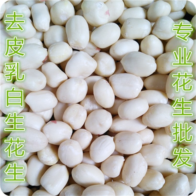 廠家直銷 脫皮花生仁 批發(fā)去皮花生米 山東生花生 乳白花生米