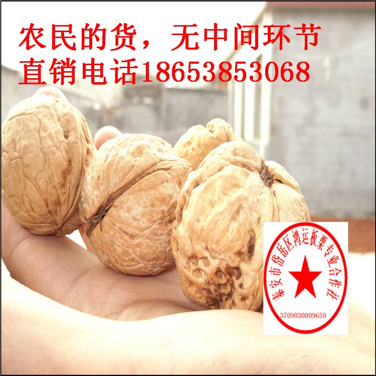 特產(chǎn)美國核桃新貨原味薄殼非紙皮生核桃150斤批發(fā)椒鹽新疆核桃